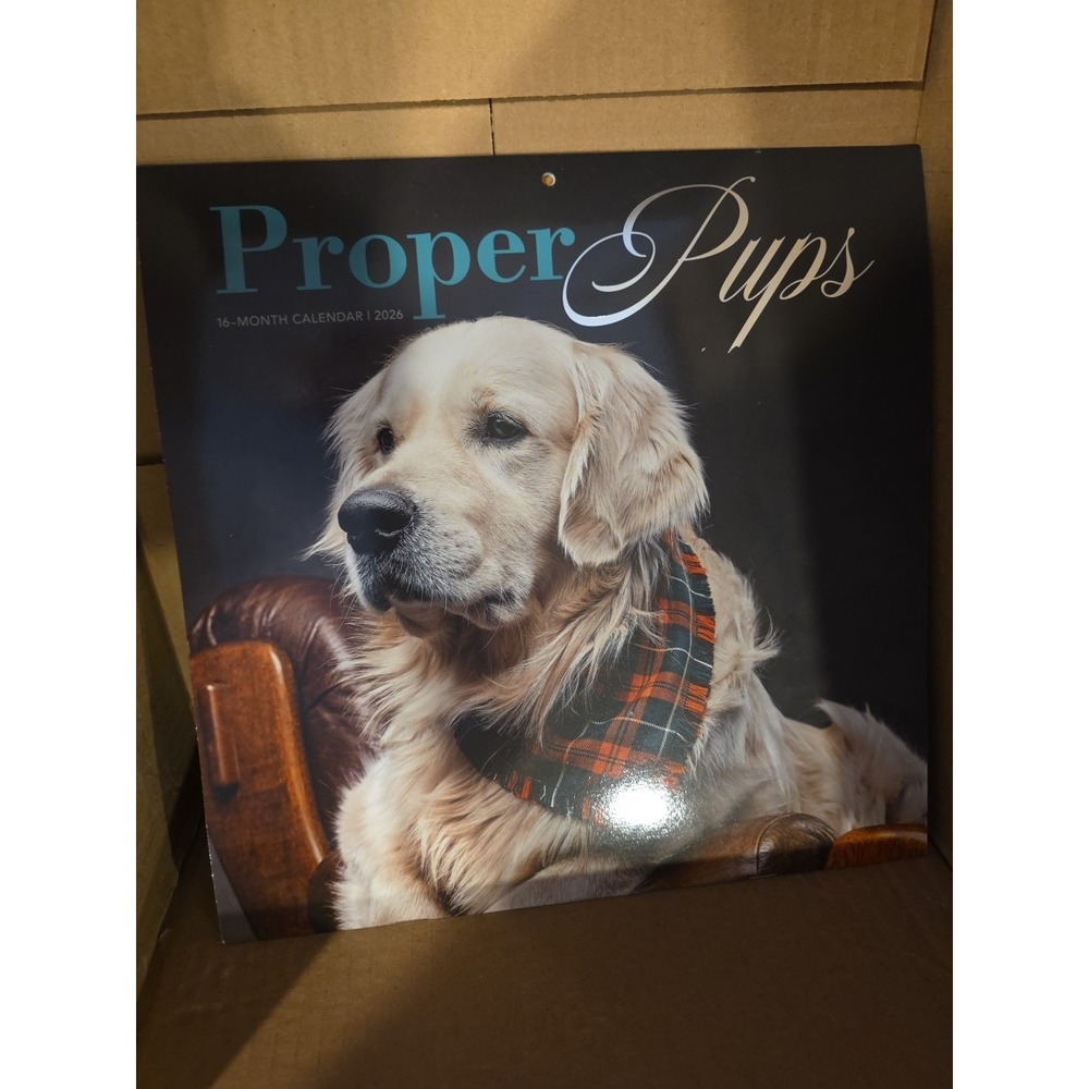 Dogs Dressed Like Wealthy High Society Fancy Millionaires 2026 Calendar